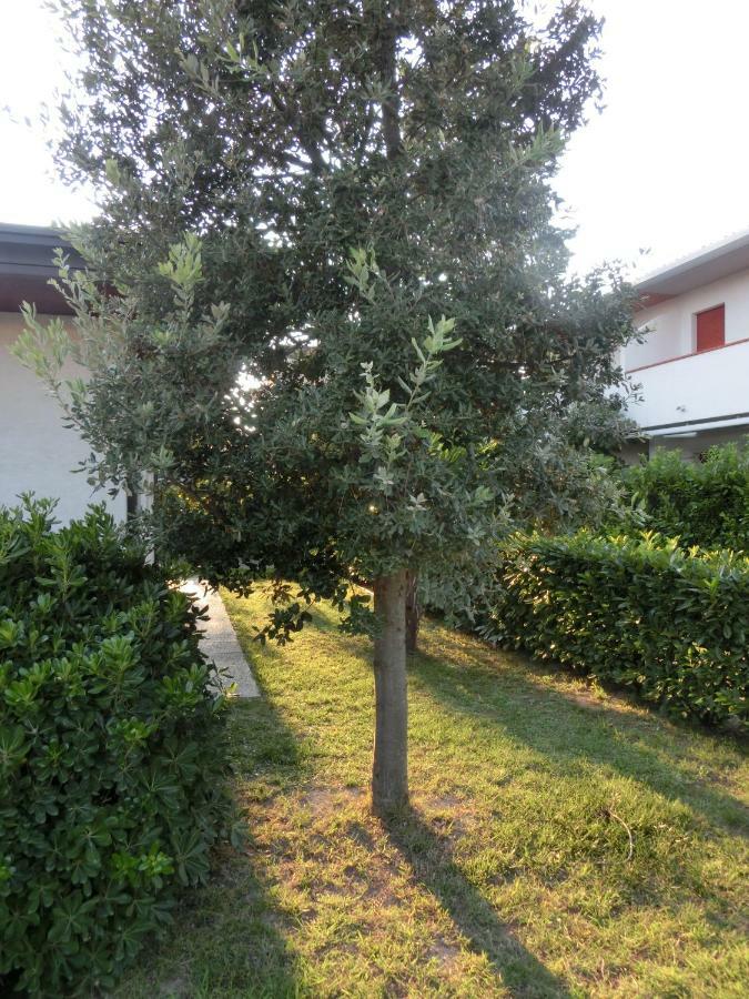 Villa Federica Бибионе Экстерьер фото